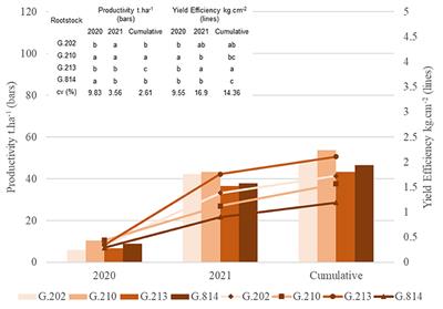 Geneva® Series Rootstocks for Apple Trees Under Extreme Replanting Conditions in Southern Brazil